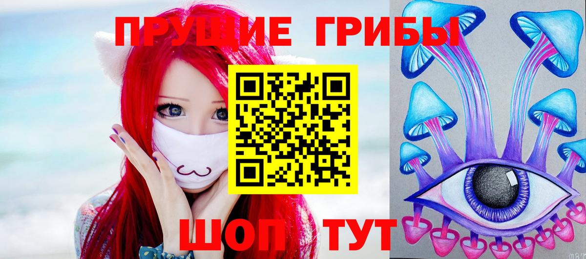 Новый Уренгой  Псилоцибиновые грибы мицелий  Вход с VPN 